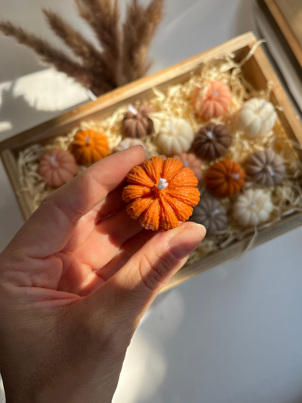 Dekokerze „MINI PUMPKIN“ - aus Rapswachs