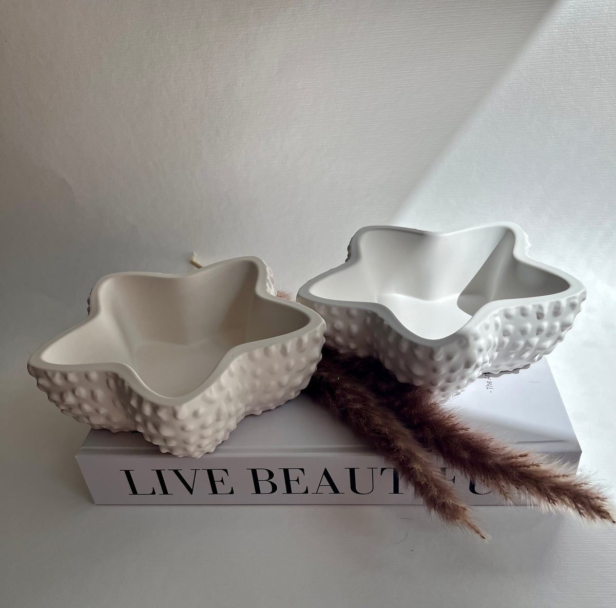 Seestern Schale aus Jesin