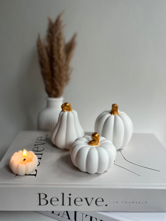 Deko-Kürbis-Set „Golden Autumn“