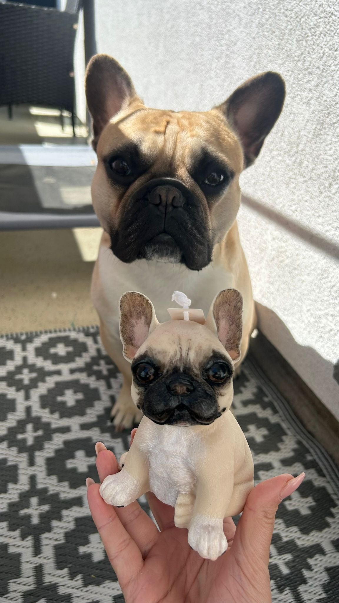 Little Frenchie – handgefertigte Kerze aus Rapswachs | auch personalisiert