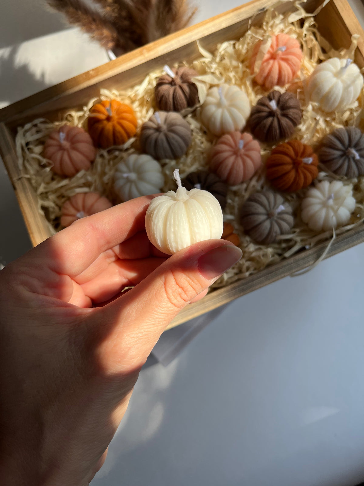 Dekokerze „MINI PUMPKIN“ - aus Rapswachs