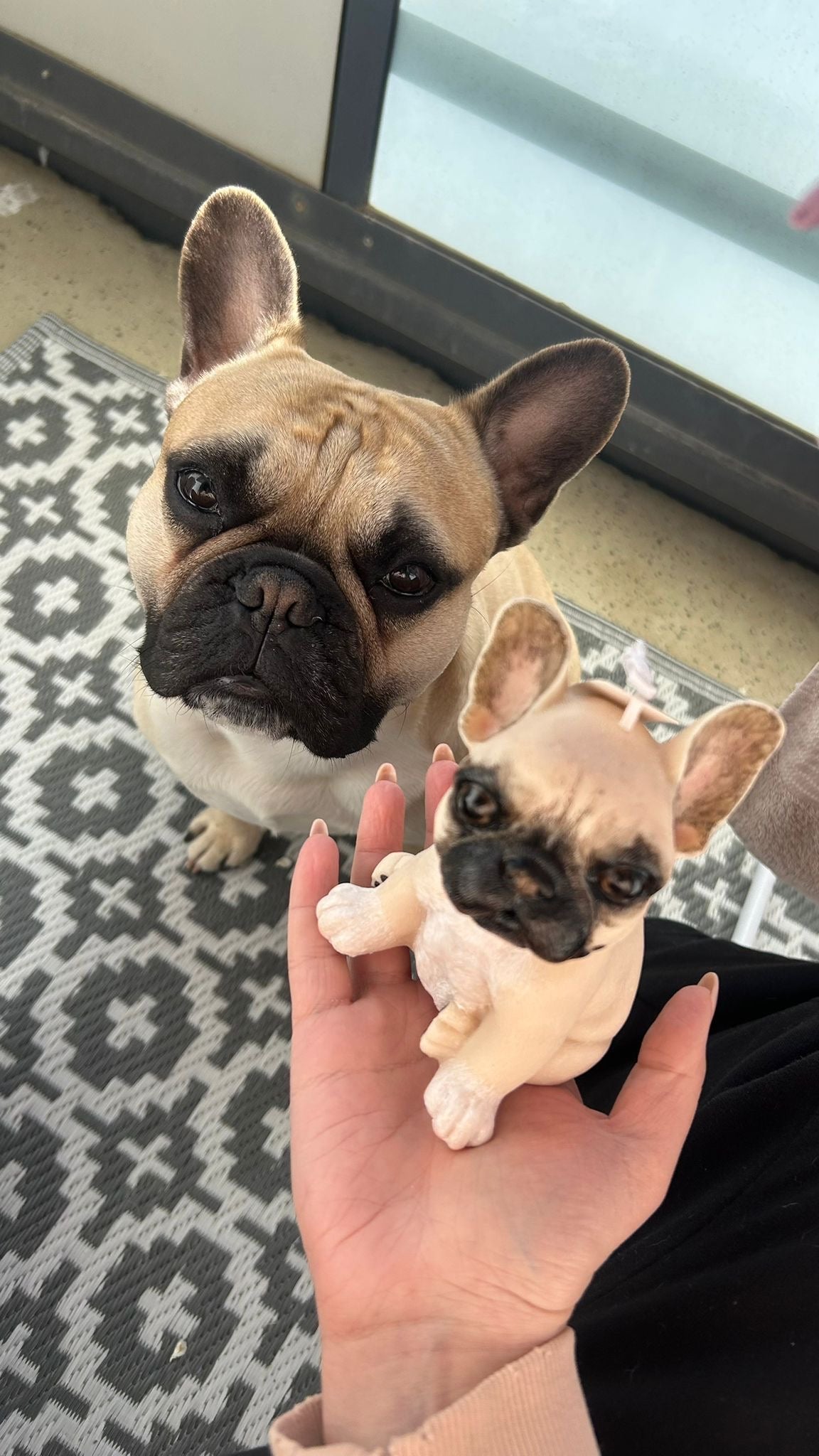 Little Frenchie – handgefertigte Kerze aus Rapswachs | auch personalisiert