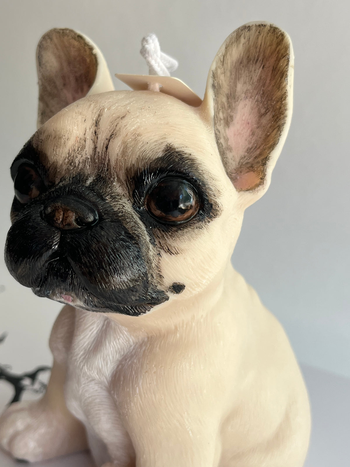 Little Frenchie – handgefertigte Kerze aus Rapswachs | auch personalisiert